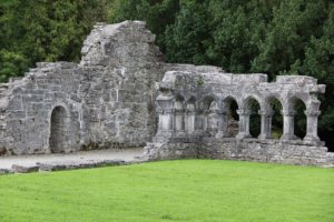 Irish Architecture History